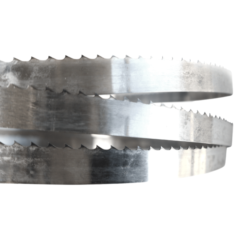 Sierra 108″ CBT422 3/4 para Cortadora SJ-295 TORREY - Mundo Gastronómico Chile