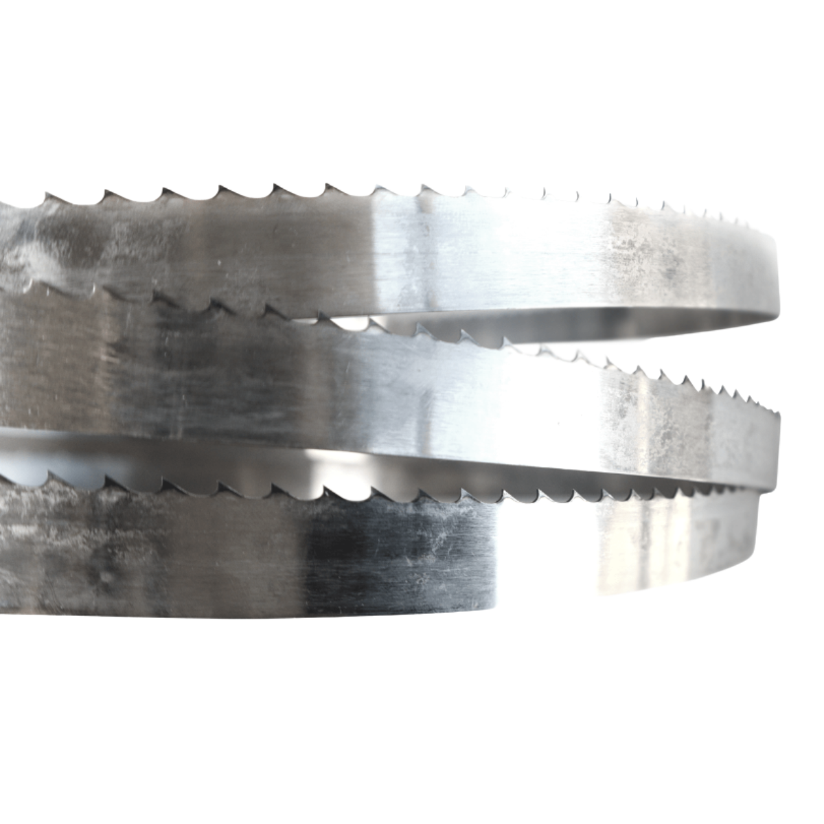 Sierra 116″ CBT422 3/4 para Cortadora SJ-295 TORREY - Mundo Gastronómico Chile